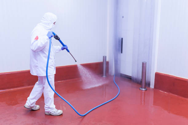 Best Dumpster Area Cleaning  in Brookshire, TX